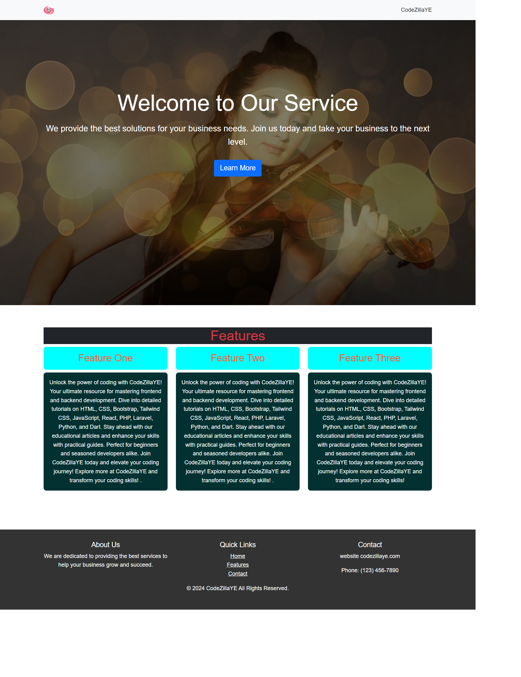 Web Design Project 2